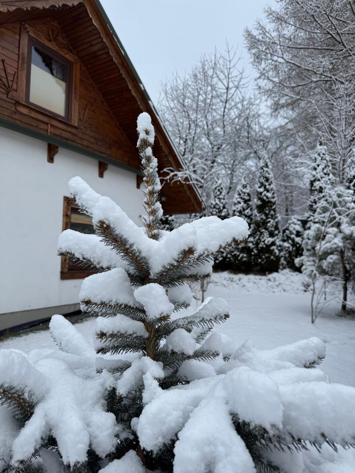 Na Szlaku - Domki Do Wynajecia Rabka-Zdrój Extérieur photo