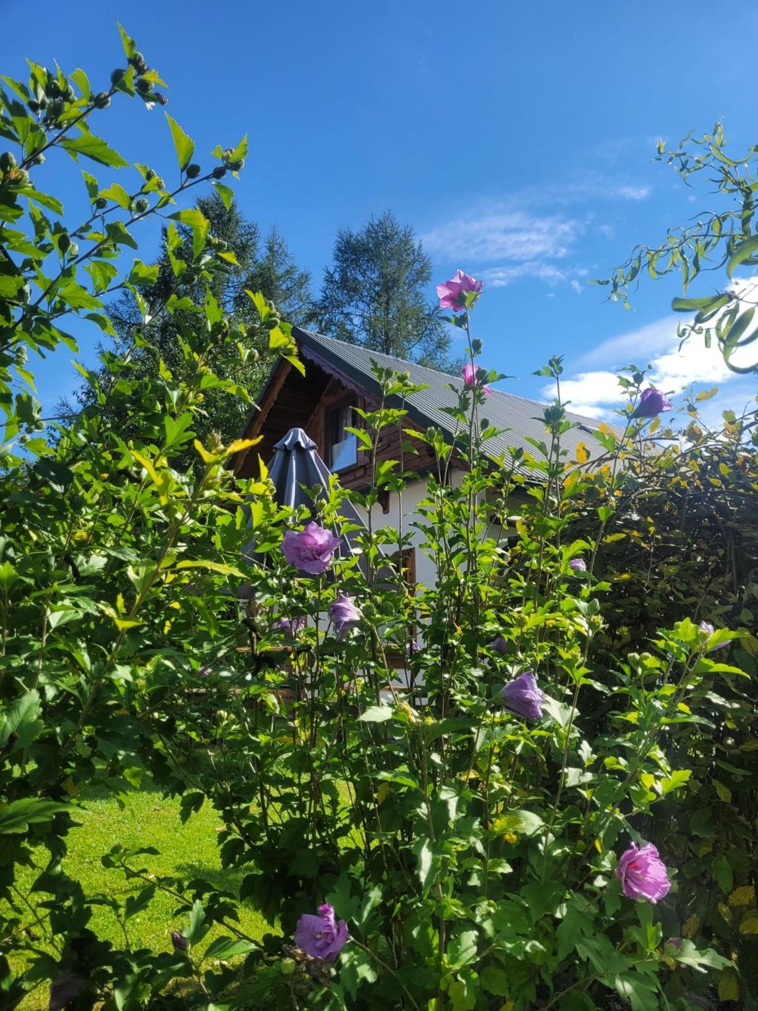 Na Szlaku - Domki Do Wynajecia Rabka-Zdrój Extérieur photo